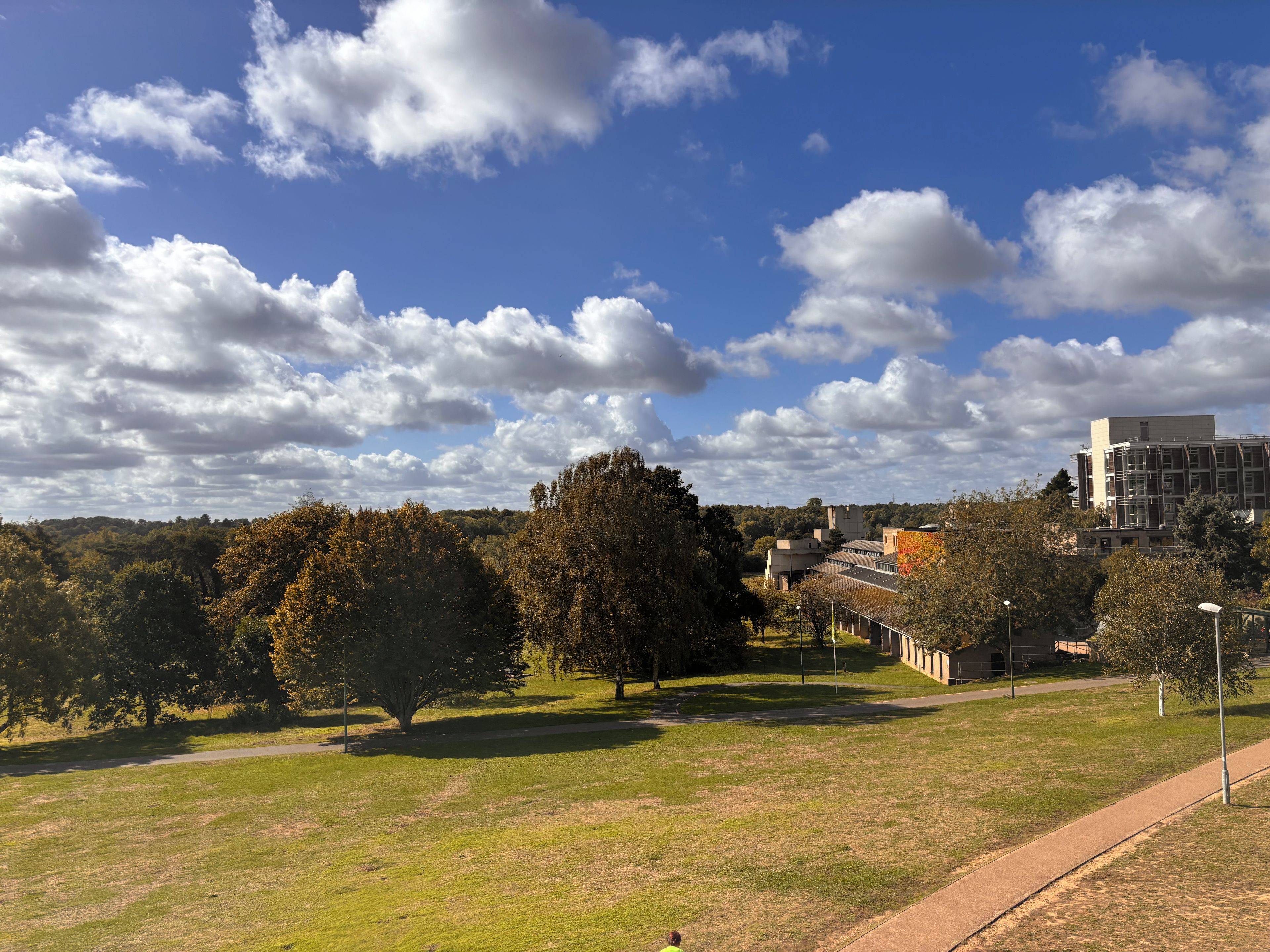 A park with a pathway, trees, and a building in the background.