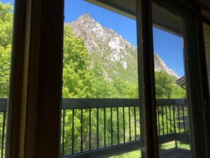 Interior - Spacious mountain retreat nestled in Little Cottonwood Canyon - Alta/Snowbird (Sandy)