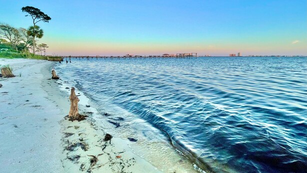 A beach with clear water, a palm tree, and a pier in the distance. - No extra Fees for your dogs....Relaxing Family Getaway -3mi to Beach (Navarre)