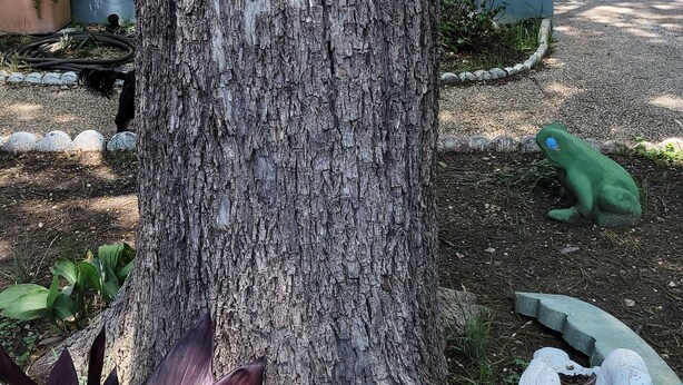 Un cartel en un árbol que dice "Villas de Vita" con indicación de "Continúe hacia la parte trasera".