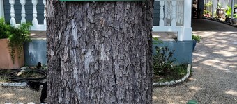 Downtown & Southtown leisure district, trendy cafe's, restaurants,  bar's 