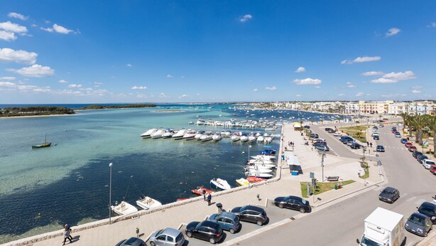 A marina with boats docked, a parking area, and a road leading to buildings.