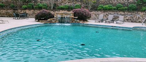 Outdoor pool, a heated pool