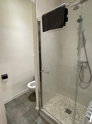 Shower, hair dryer, towels, soap