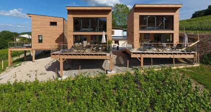 Your Stay in a Champagne Wine Village