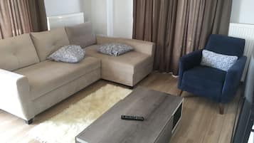 Televisión LCD 70 cm con canales de televisión vía satélite