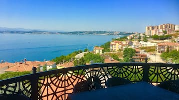 Vista del balcón