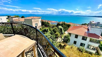 Vista del balcón