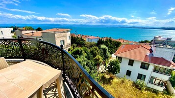 Vista del balcón