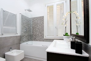Bathtub, hair dryer, bidet, towels