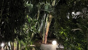 A stone pathway surrounded by dense tropical foliage, illuminated by spherical lights. - Les Galets Sxm (Orient Bay)