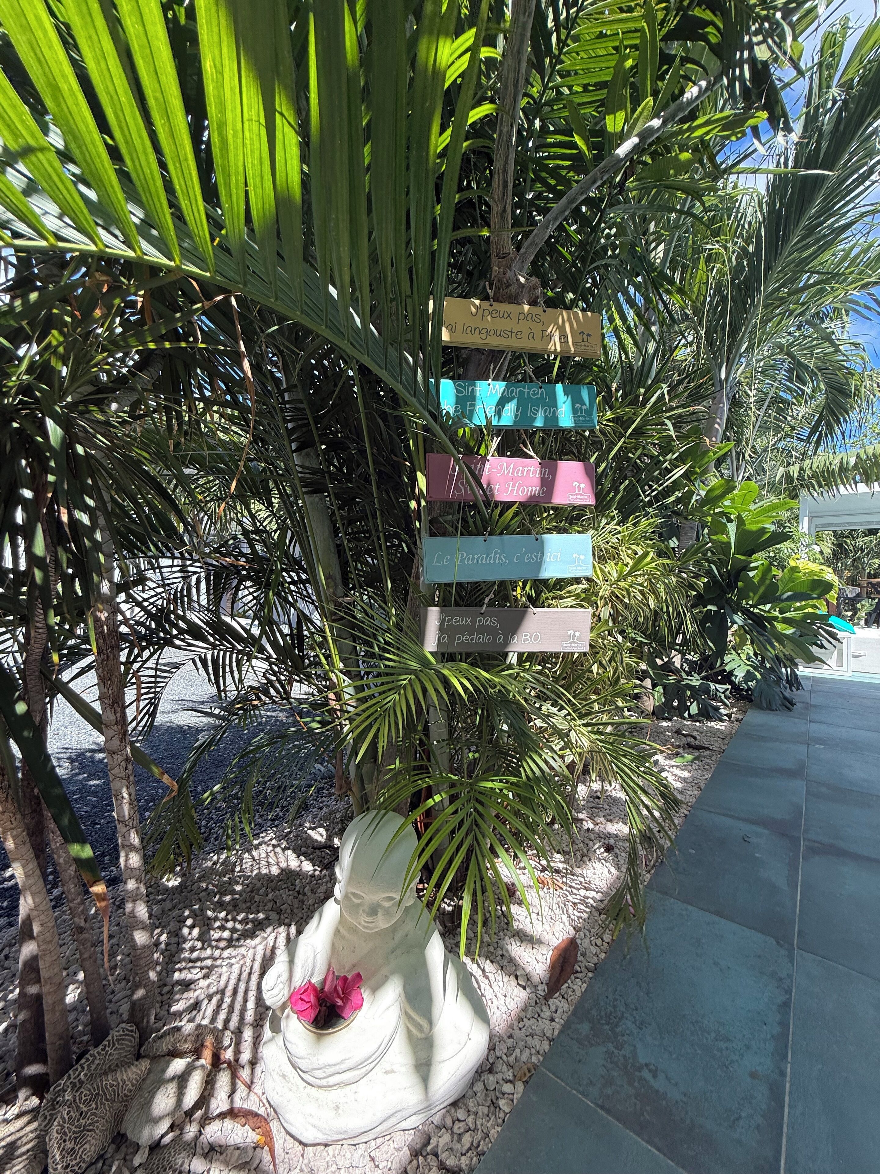 A pathway lined with palm trees and a signpost with multiple directional signs.