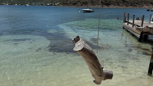 A clear waterfront with a wooden dock extending into the water, surrounded by hills and boats in the background. - Les Galets Sxm (Orient Bay)