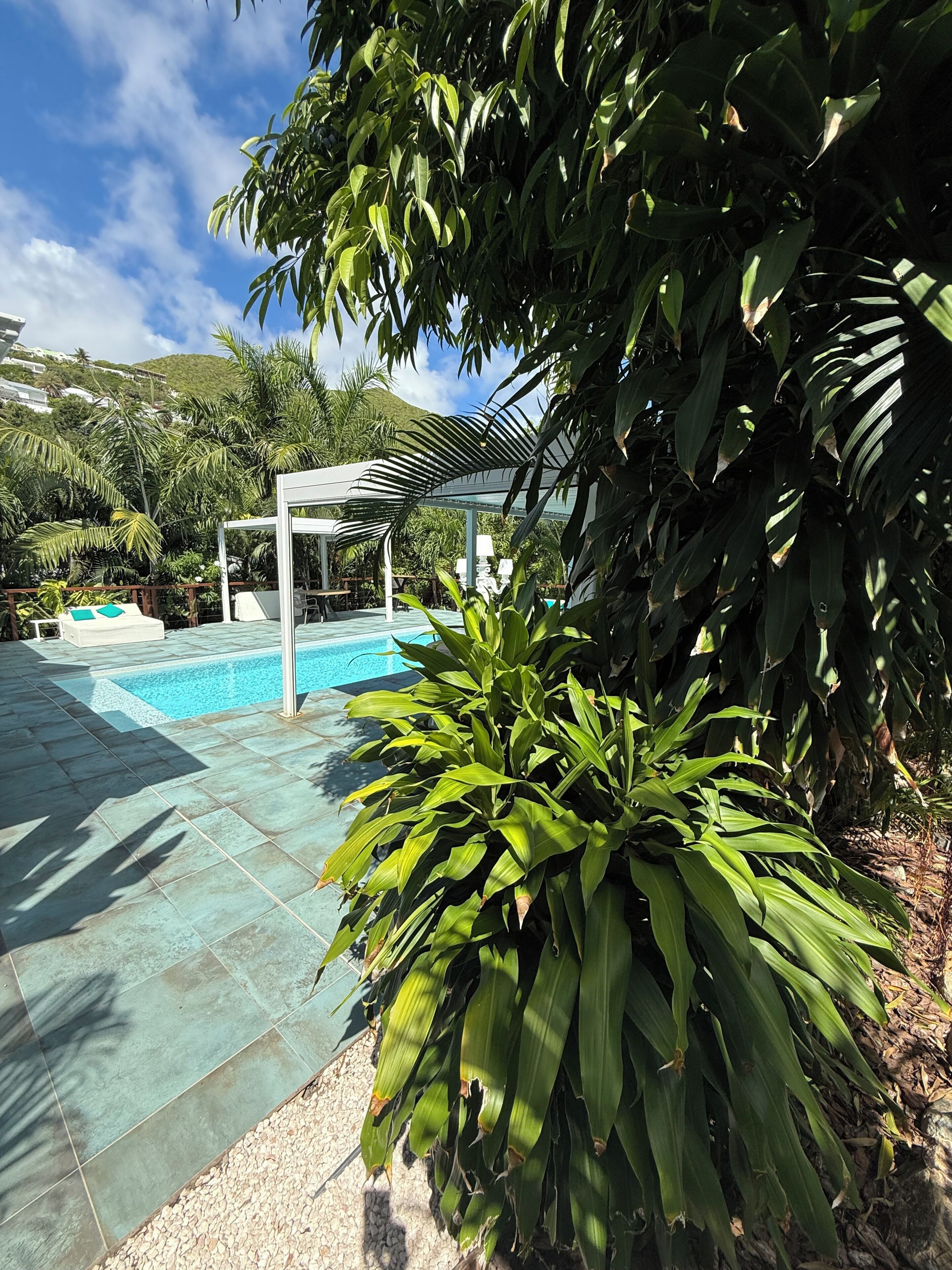 A swimming pool with a pergola and palm trees in the background.