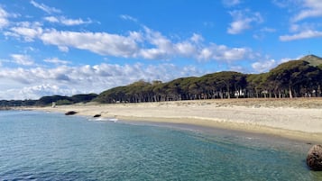 Playa en los alrededores