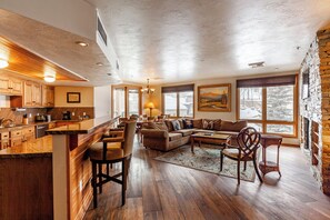 Smart TV, fireplace, DVD player, books