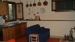 TV, fireplace, DVD player, books - Il ponticello Cortona, delightful little house in the green with breathtaking views (Cortona)