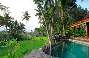 Outdoor pool - Luxury Villa with Private Pool and Kitchen! (Gianyar)
