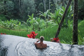 Property grounds - Luxury Villa with Private Pool and Kitchen! (Gianyar)