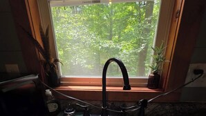 Una cocina con un lavamanos doble, una ventana con vista a follaje, y una planta en maceta en el alféizar.
