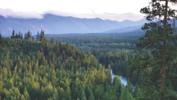 A dense forest with a river running through it, surrounded by mountains.