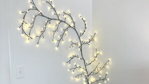Een kamer met een witte muur, een zwarte stoel met een wit decoratief kussen, en een lichtslingering in de vorm van takken.