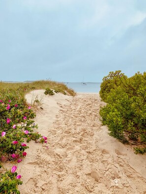 A sandy beach path leading to the sea with some vegetation on the sides.