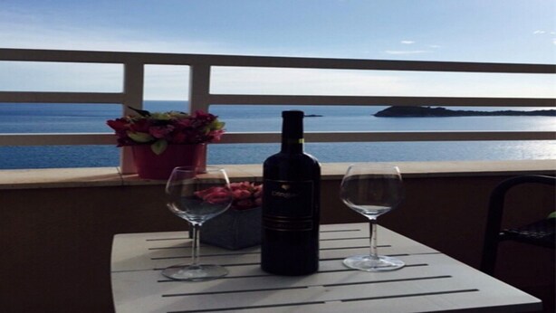 A table with a bottle and two wine glasses, a potted plant, and a view of the sea.