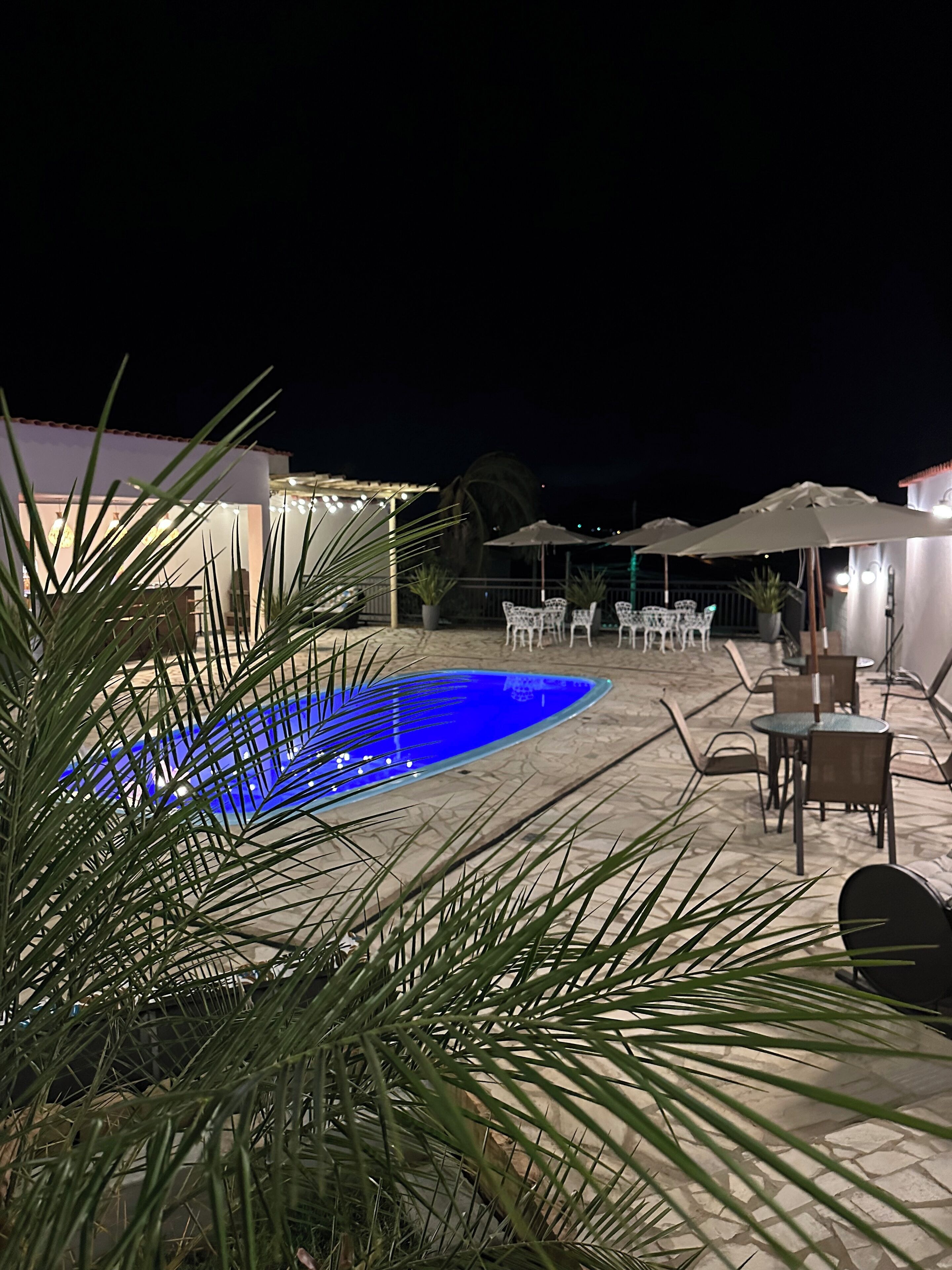 Un espace piscine extérieur agrémenté de chaises et de parasols, entouré de palmiers.