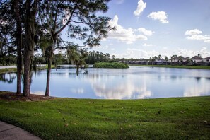 Un lac paisible, bordé d’arbres et avec une zone herbeuse au premier plan, entouré d’une rangée de maisons en arrière-plan.