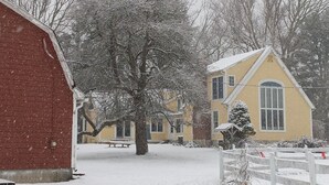 Un quartier résidentiel enneigé, avec une grange rouge, une maison jaune et un grand arbre au premier plan.