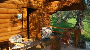 A wooden cabin with two floral-patterned chairs and a wooden bench outside.
