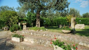 A garden with stone steps, potted plants, and trees.