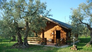 A rustic log cabin with a wooden porch, surrounded by olive trees and a clear sky.