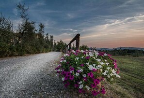 Apartment | 1 Schlafzimmer