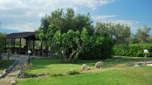A rustic outdoor area with a wooden pavilion, a large tree, and a clear sky. - Chalet 6 Agriturismo (Tocco da Casauria)