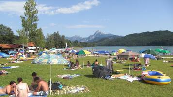 1 bedroom, free cots/infant beds