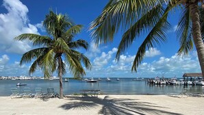 Una playa con palmeras, sillas de descanso y barcos en el agua.