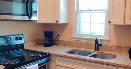 Beautiful apt Downtown perfect for long term stays