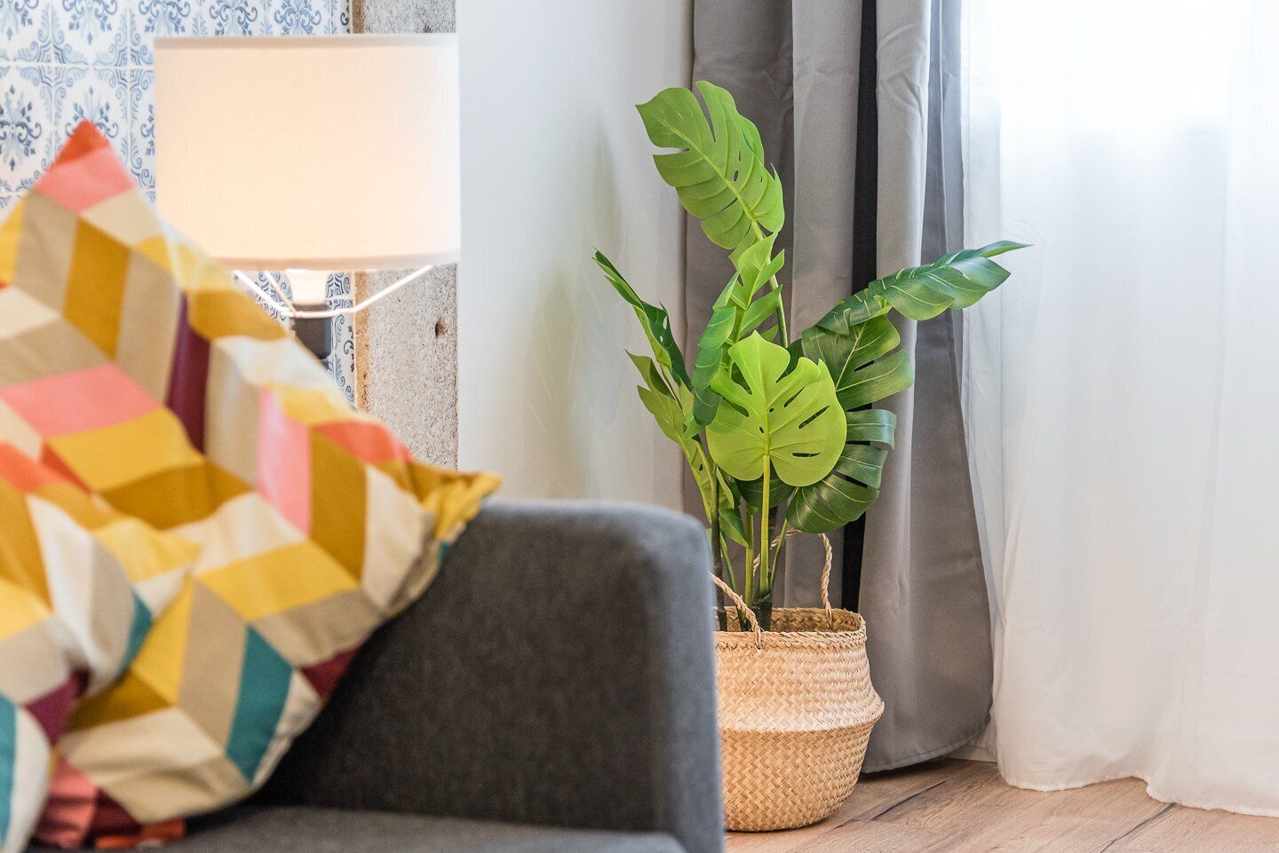 A cozy living room with a grey sofa, a colorful throw blanket, a potted Monstera plant, and a lamp.