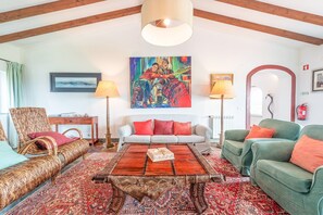 Télévision, cheminée, livres, chaîne hi-fi