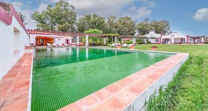 Stunning mansion in São Cristóvão