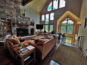 電視、壁爐、DVD 播放機、書籍