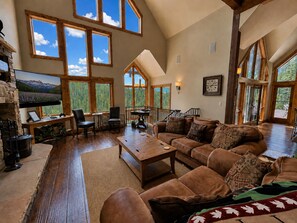 TV, fireplace, DVD player, books