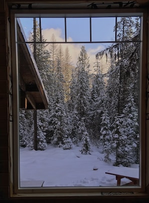A snowy forest view from a window with a wooden bench outside.