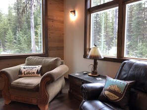 TV connectée, cheminée, lecteur de DVD