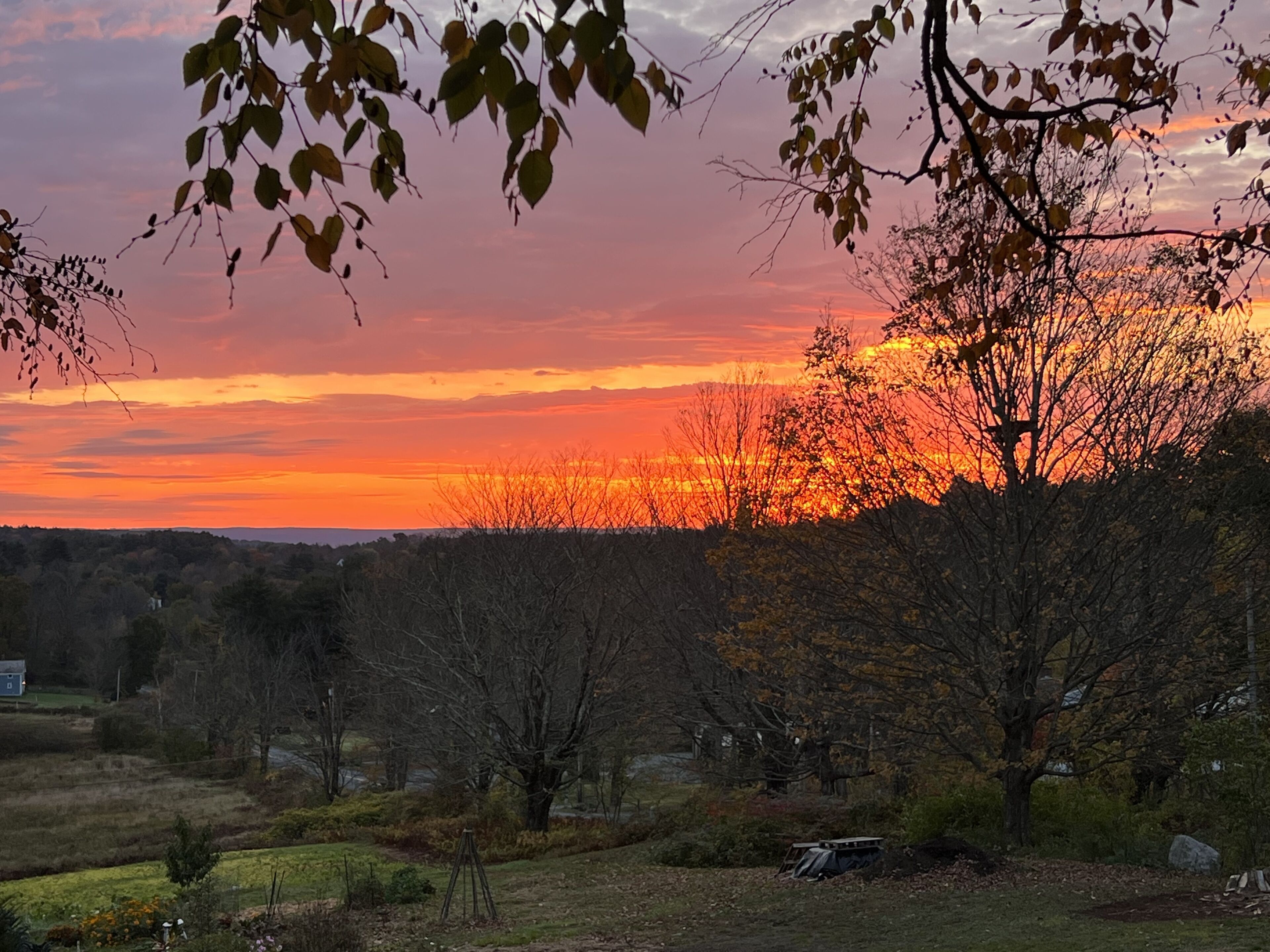 A sunset over a rural landscape with trees and a small house in the distance.