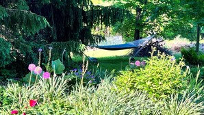 A hammock in a lush garden with various plants and flowers. - Charming, updated 3 bedroom farmhouse farm stay.  (Williamsburg)