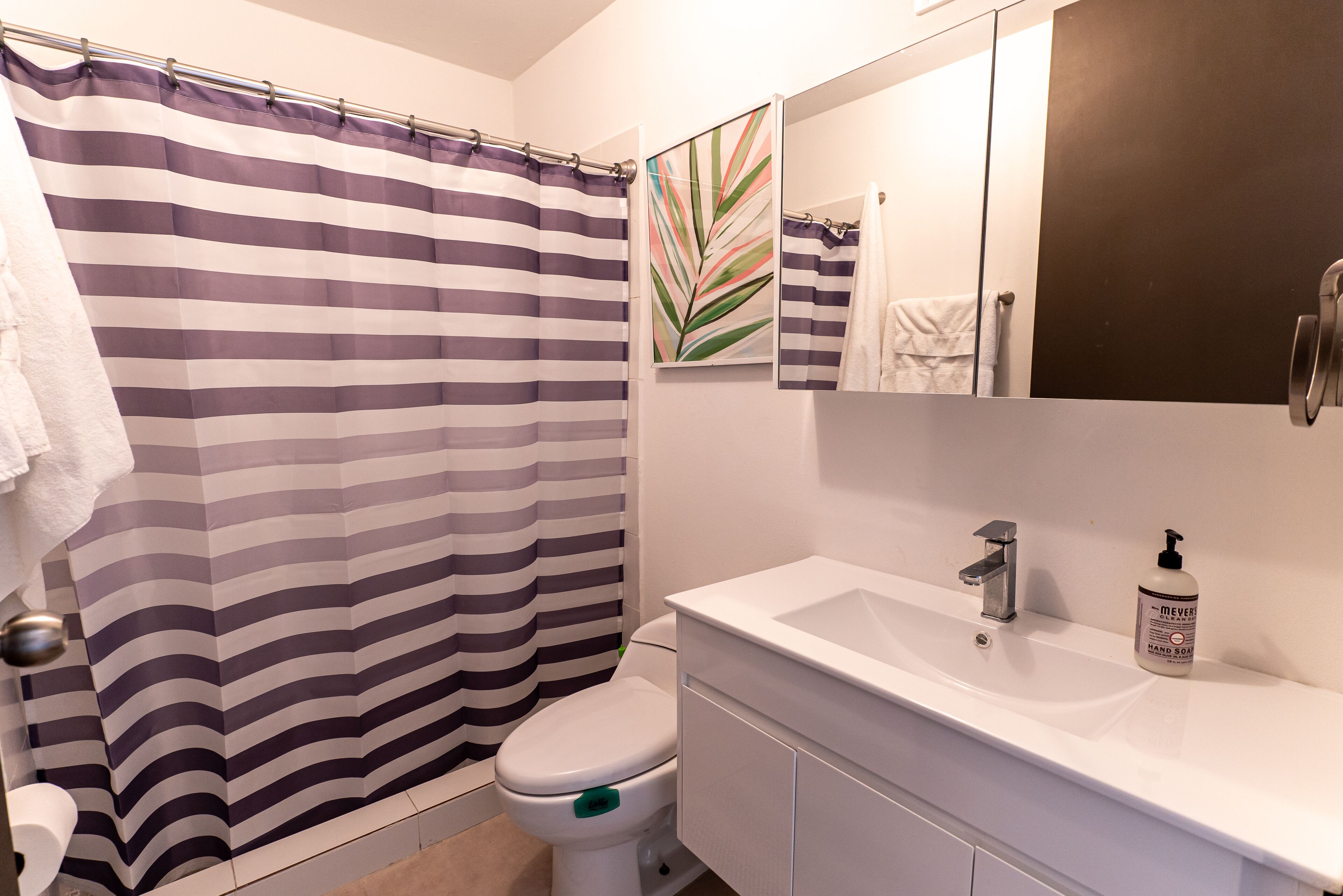 Une salle de bain avec un rideau de douche à rayures, des toilettes, un lavabo avec un distributeur de savon et un miroir.