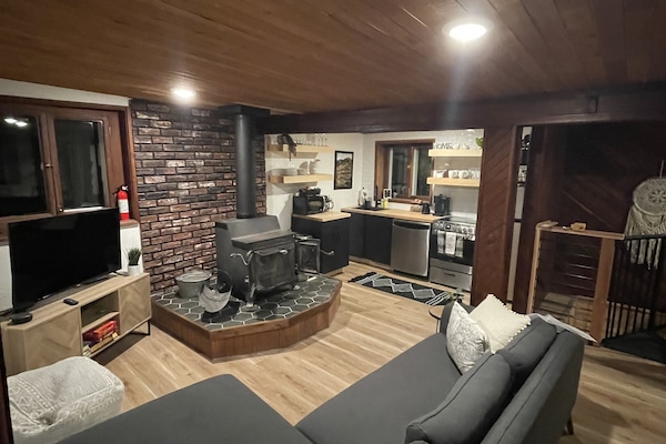 Televisor intel·ligent, llar de foc i llibres